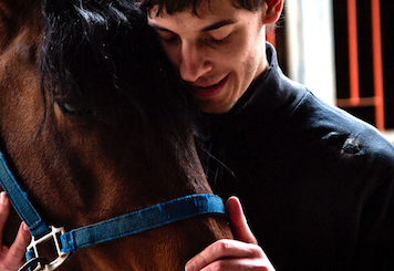 Antonino Latocca abbraccia un cavallo