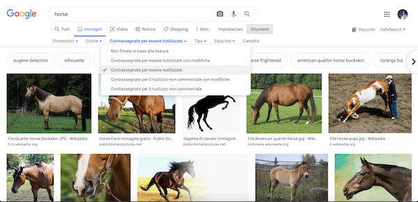 Ricerca cavalli su Google immagini